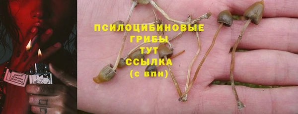 трава Абдулино