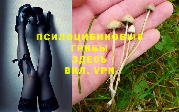 молекула духа Алзамай