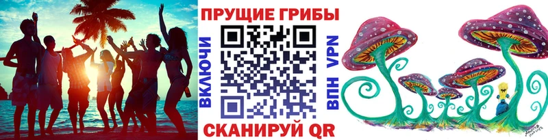 Псилоцибиновые грибы Psilocybine cubensis  наркошоп  Шахунья 
